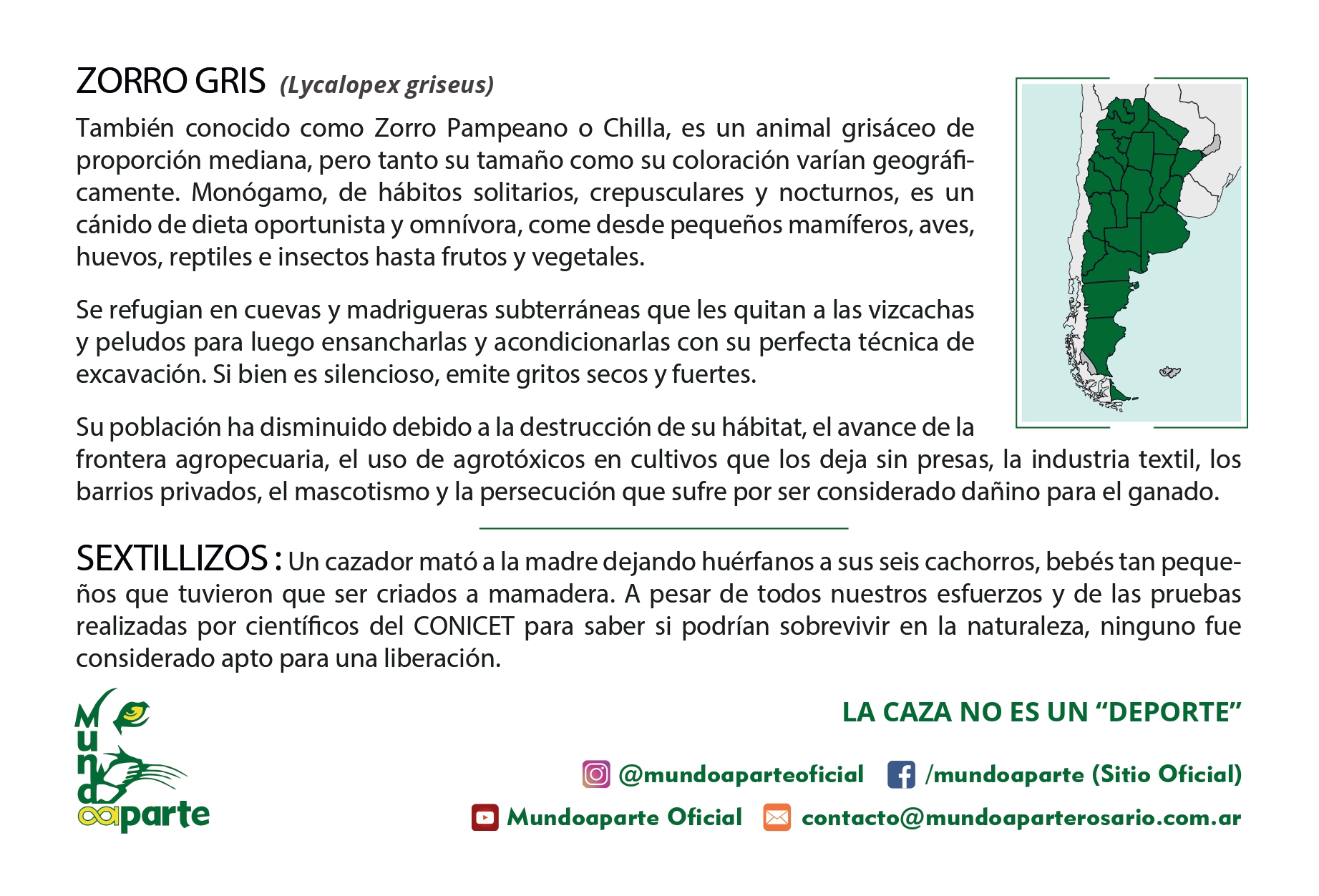 Zorro Gris - Imagen trasera